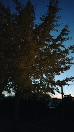 秋の夕暮れ