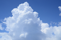 夏の雲