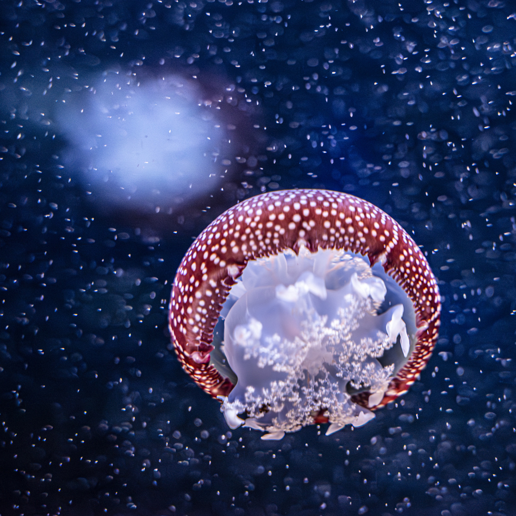 UFO