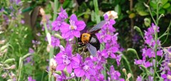 DSC_0018_1(1)
