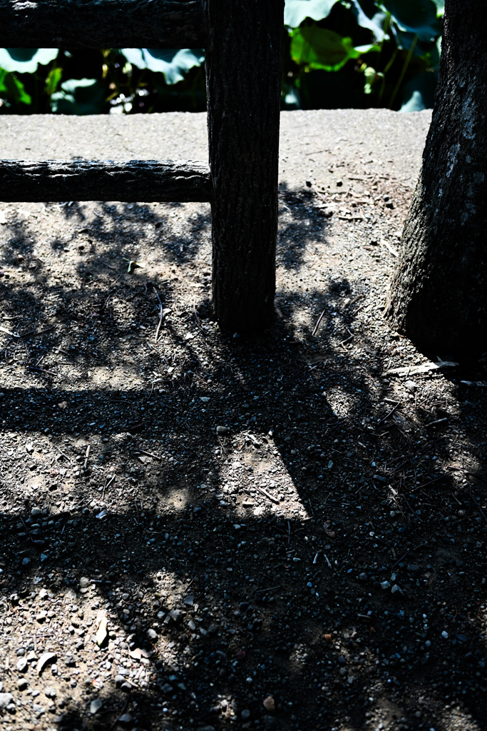 線香花火みたい