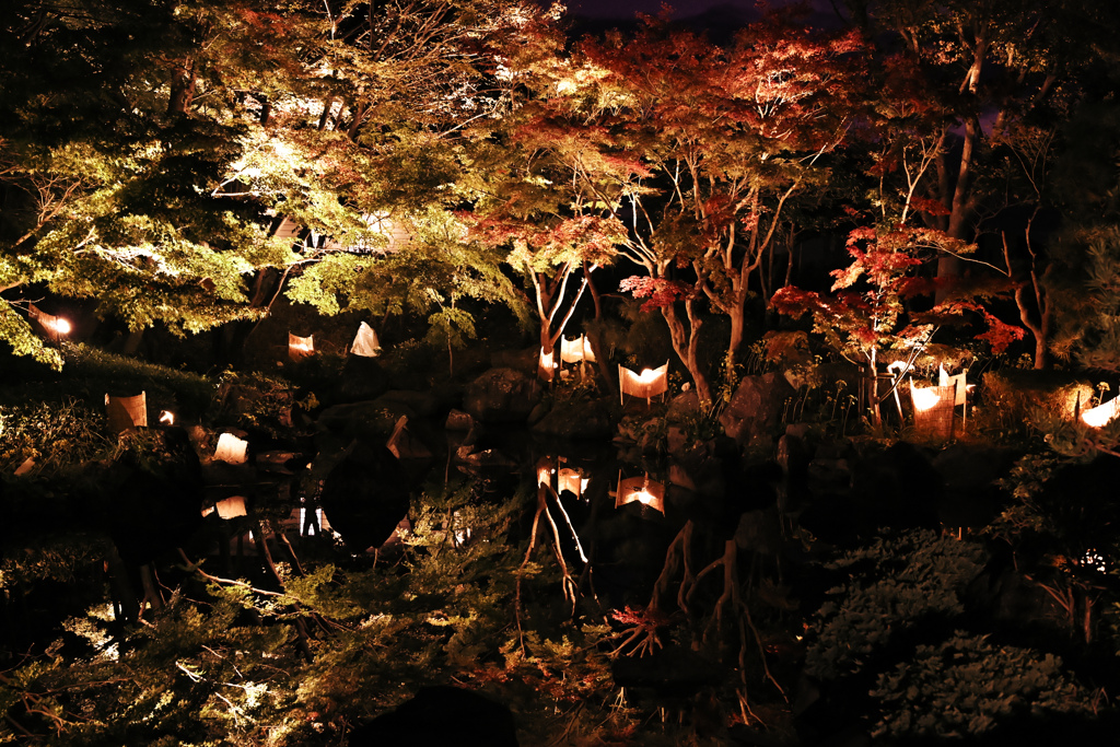 公園の紅葉狩り