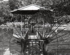 ANSCO MEMO　でのテストショット