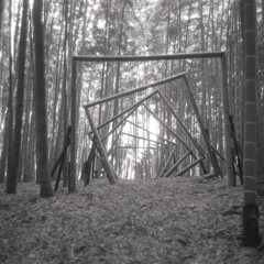 テナックスII　テストショット01