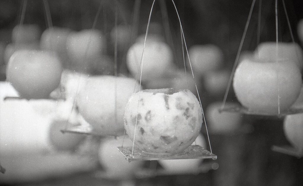 アーガスC44Rテストショット06