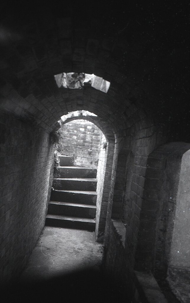 アーガスC44Rテストショット02