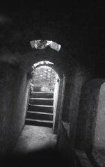 アーガスC44Rテストショット02