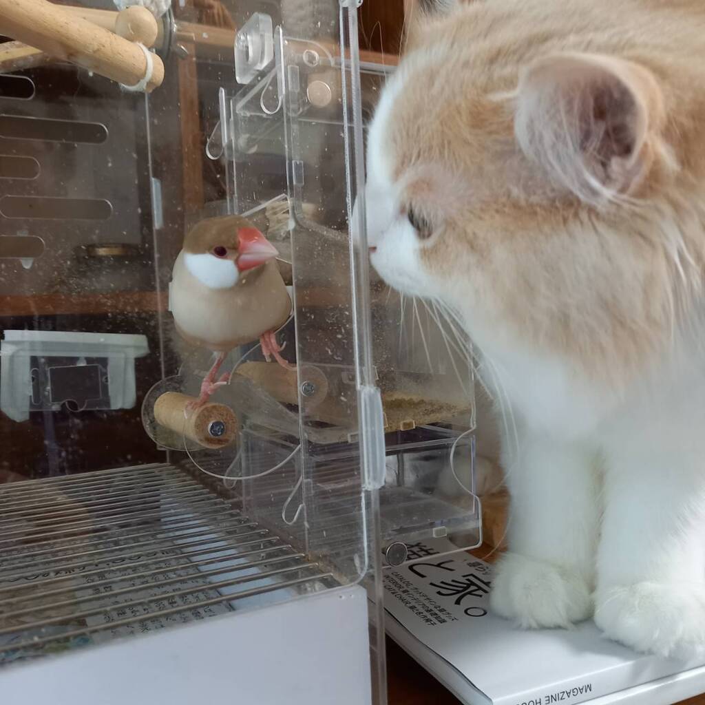 仲良し家族