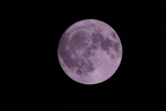 昨日のMoon