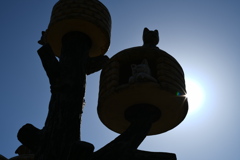 ねこTower