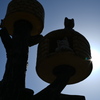 ねこTower
