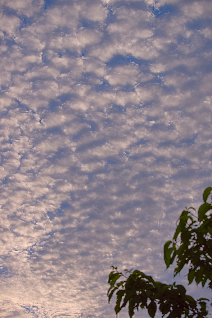 sky