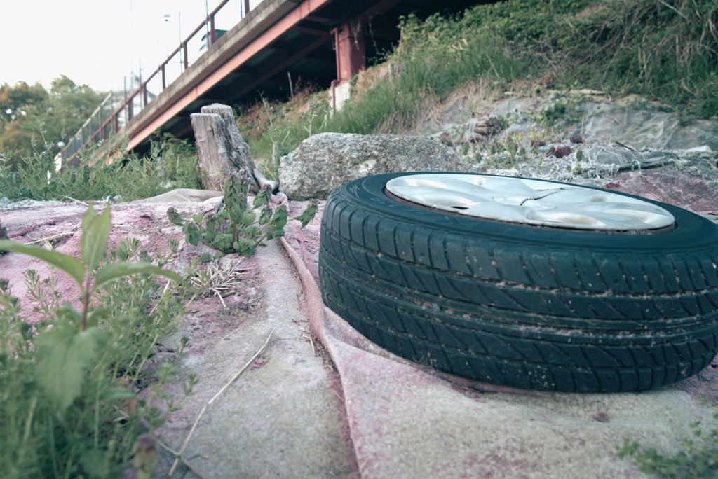 ヒメオドリコソウ