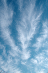 早朝の空