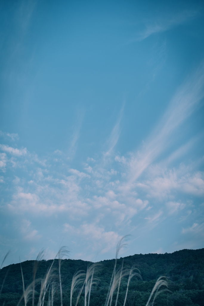 早朝の空