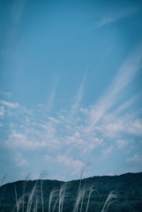 早朝の空