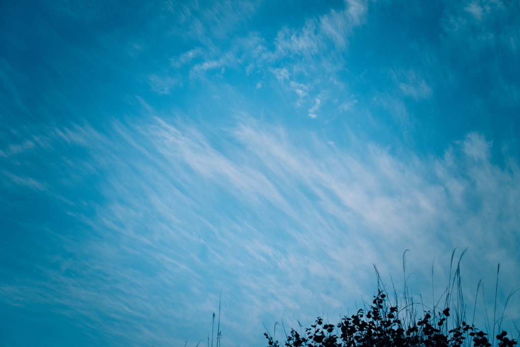 早朝の空