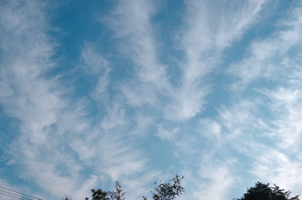 早朝の空