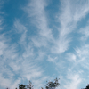 早朝の空