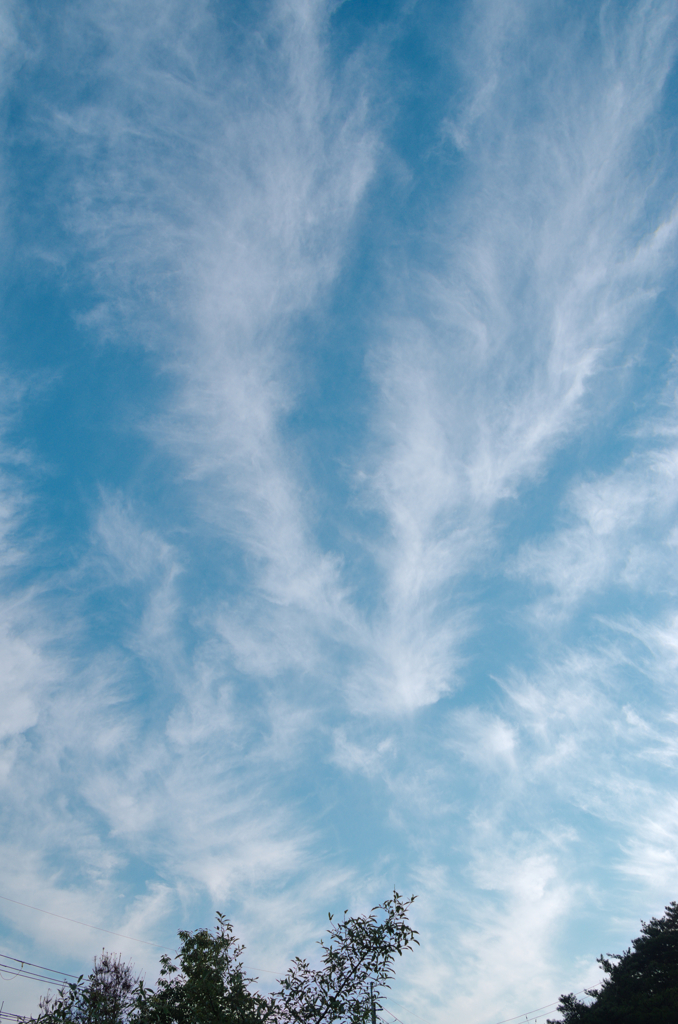 早朝の空