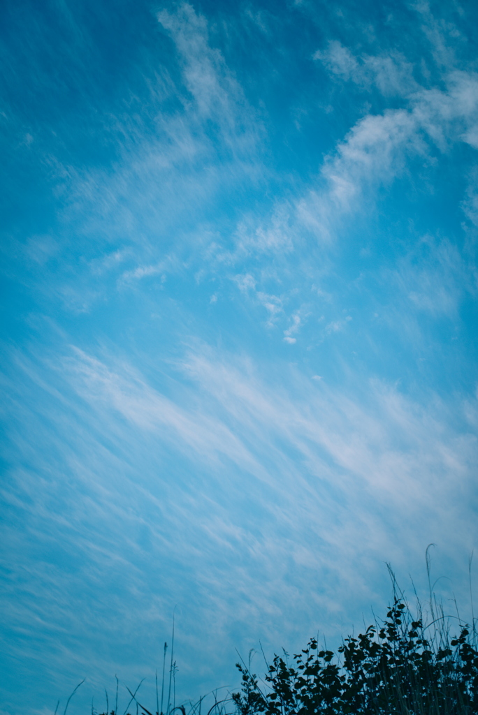 早朝の空
