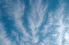 早朝の空