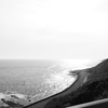 海