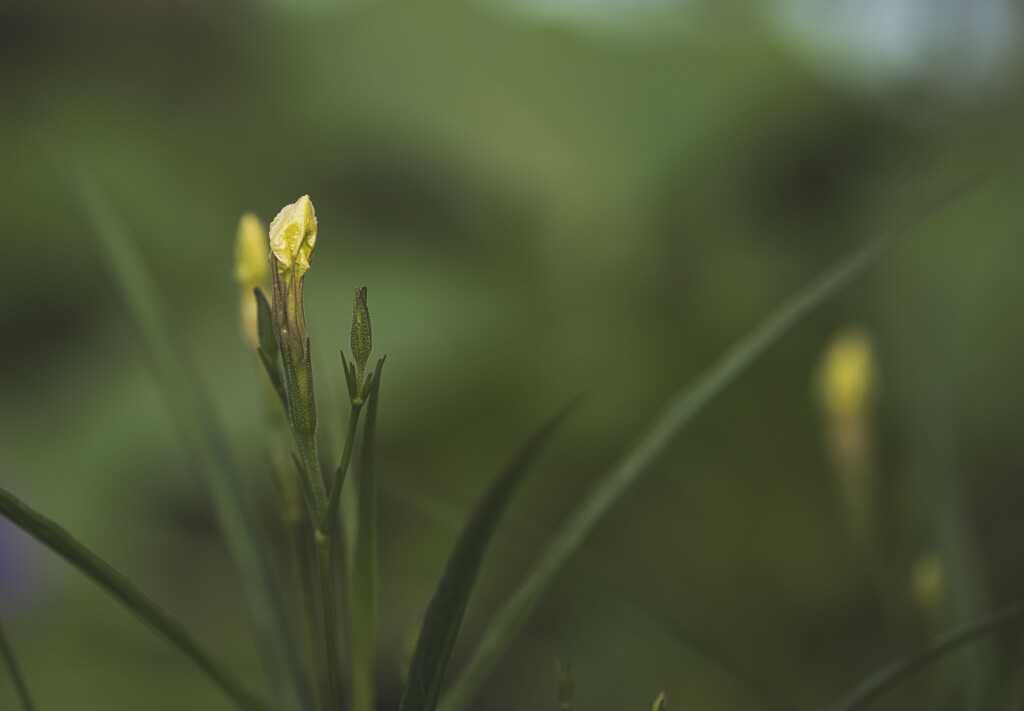 7R400219copy