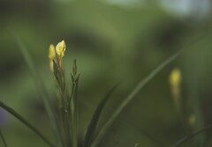 7R400219copy