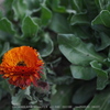 DSC00469