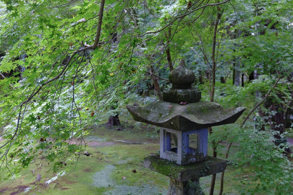 寺の風景