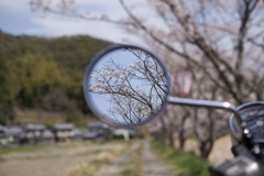 ミラーの景色