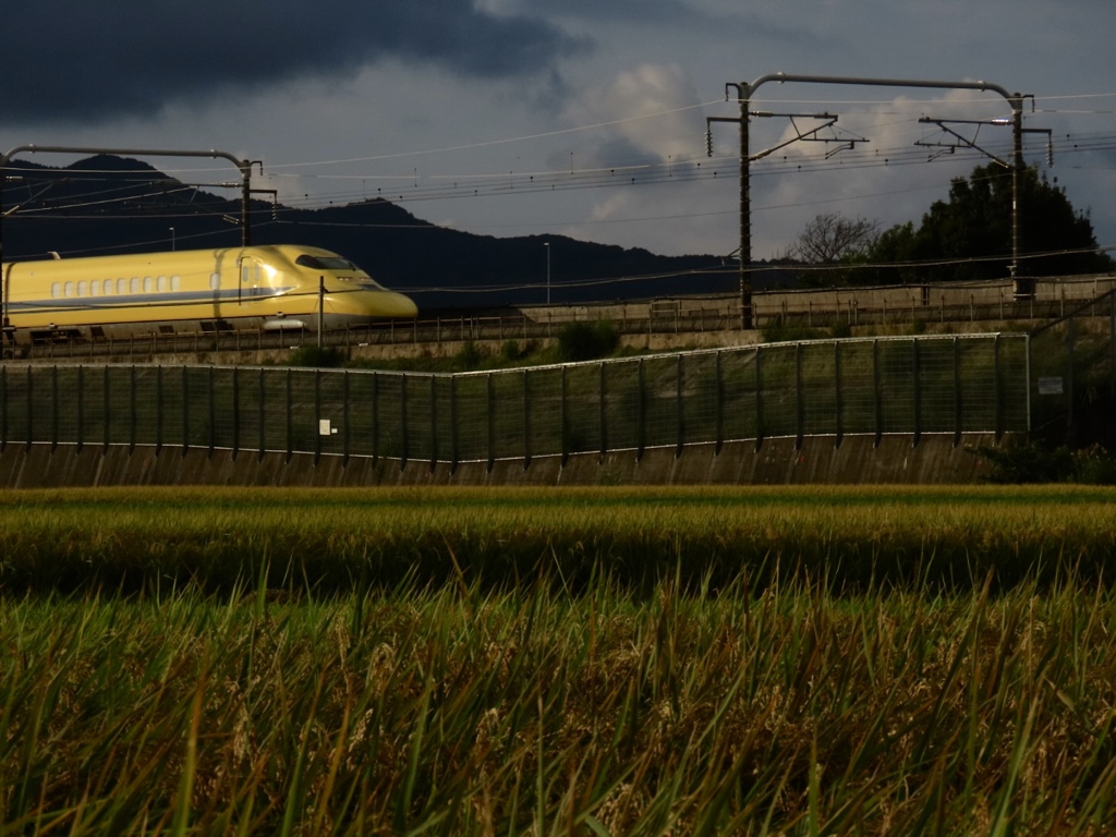 過去撮り