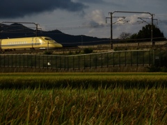過去撮り