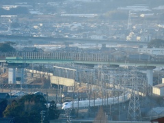 意外といける
