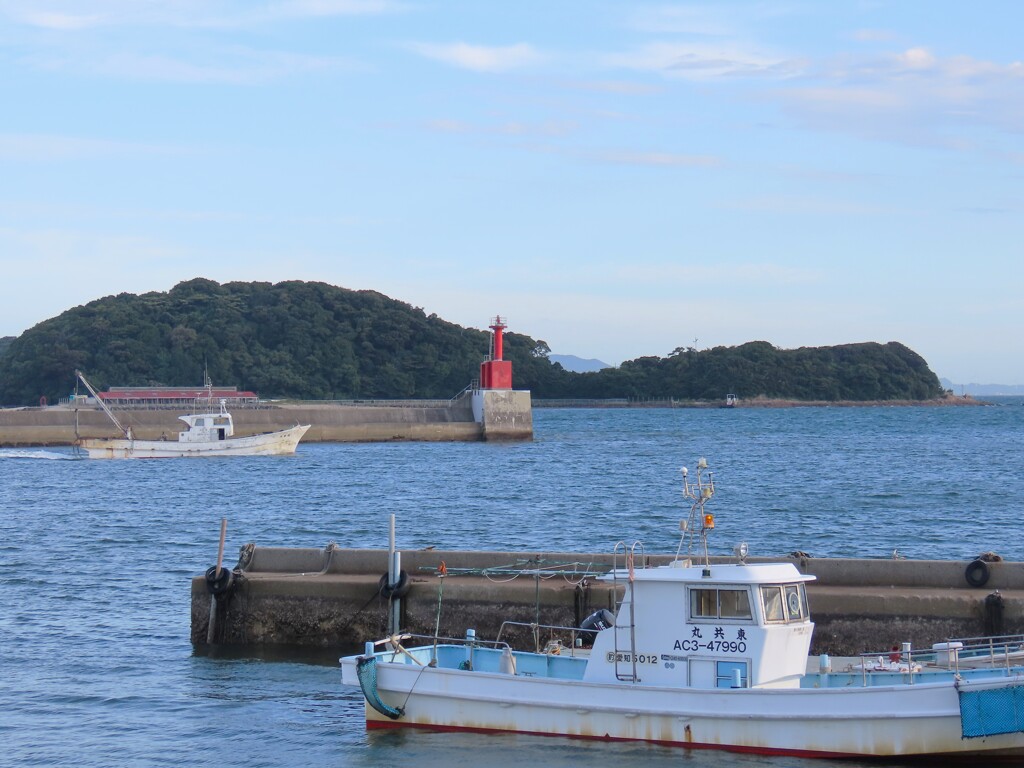 海