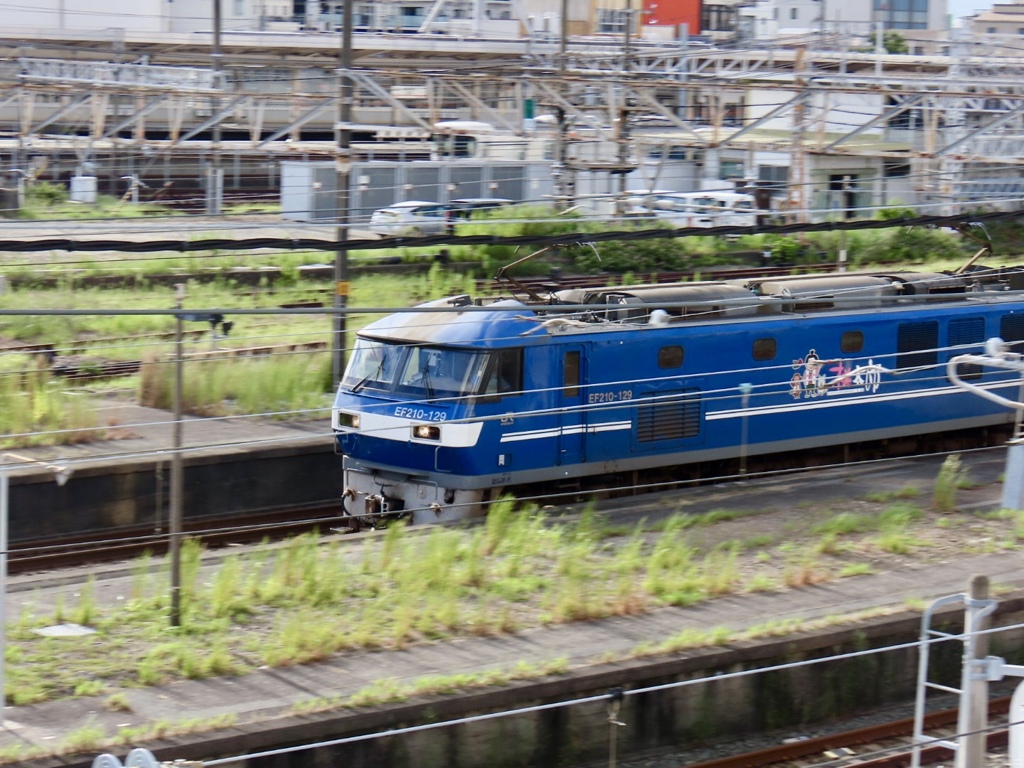 IMG_0575