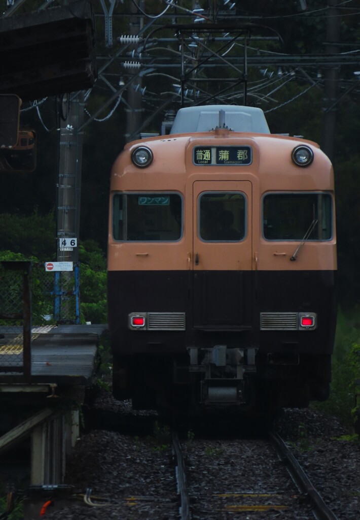 田舎楽しい