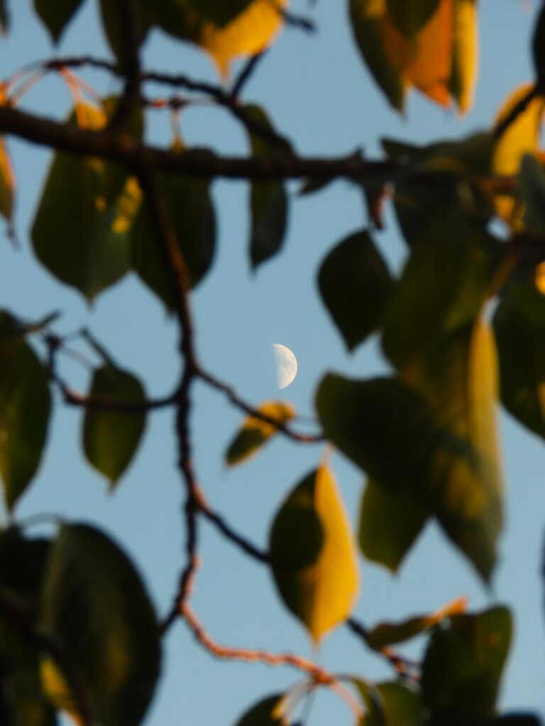 月