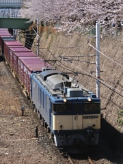 これもいつまで続くか