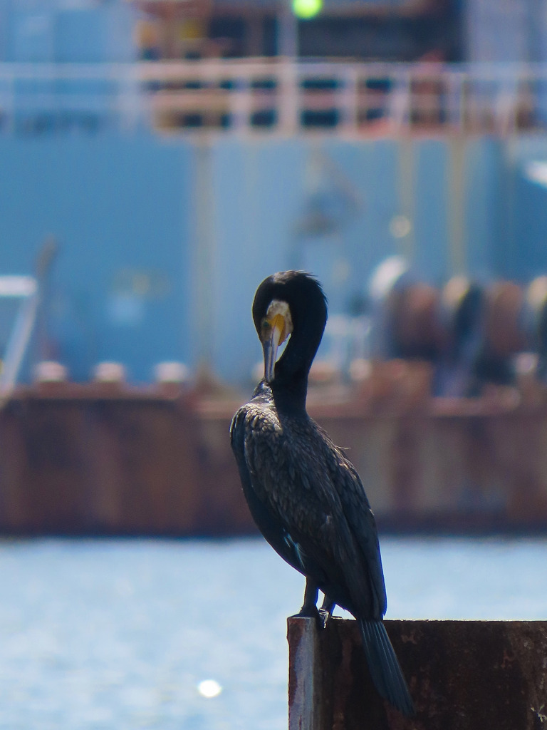 コンデジの限界②