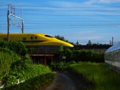 過去撮り
