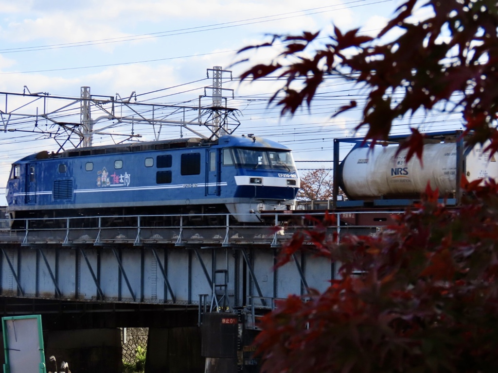 カタロイド