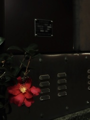街角の華