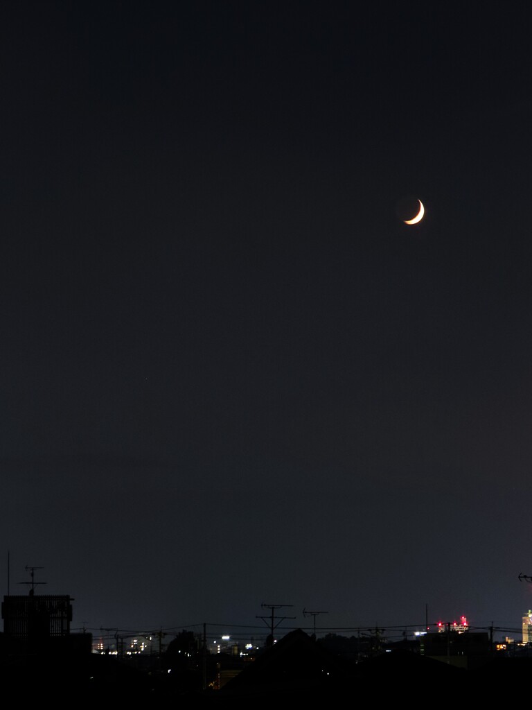 晴れてたら…