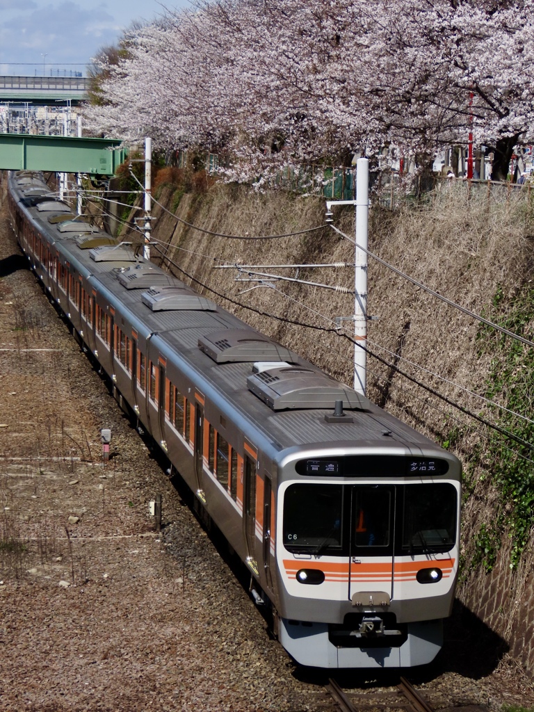 金山