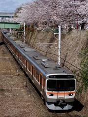金山