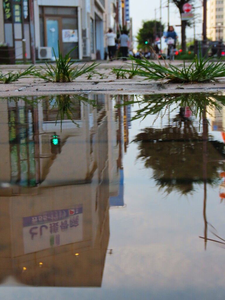 雨は降ってないのに