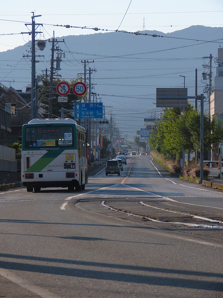 朝