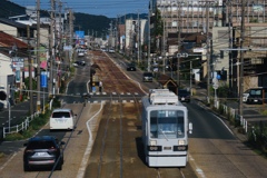 無地